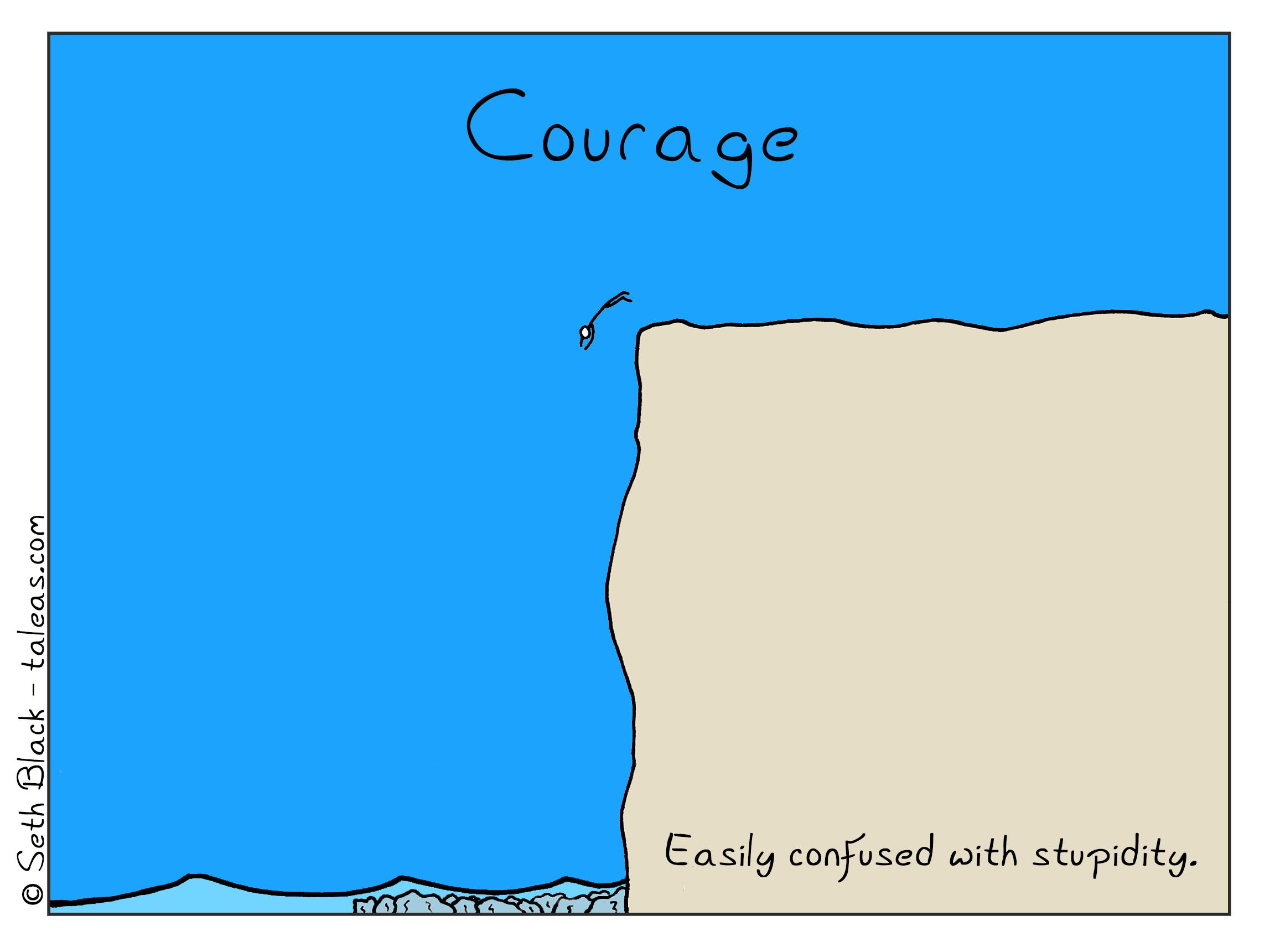 A stick figure jumps off a cliff into very shallow water with rocks. "Courage: easily confused with stupidity"