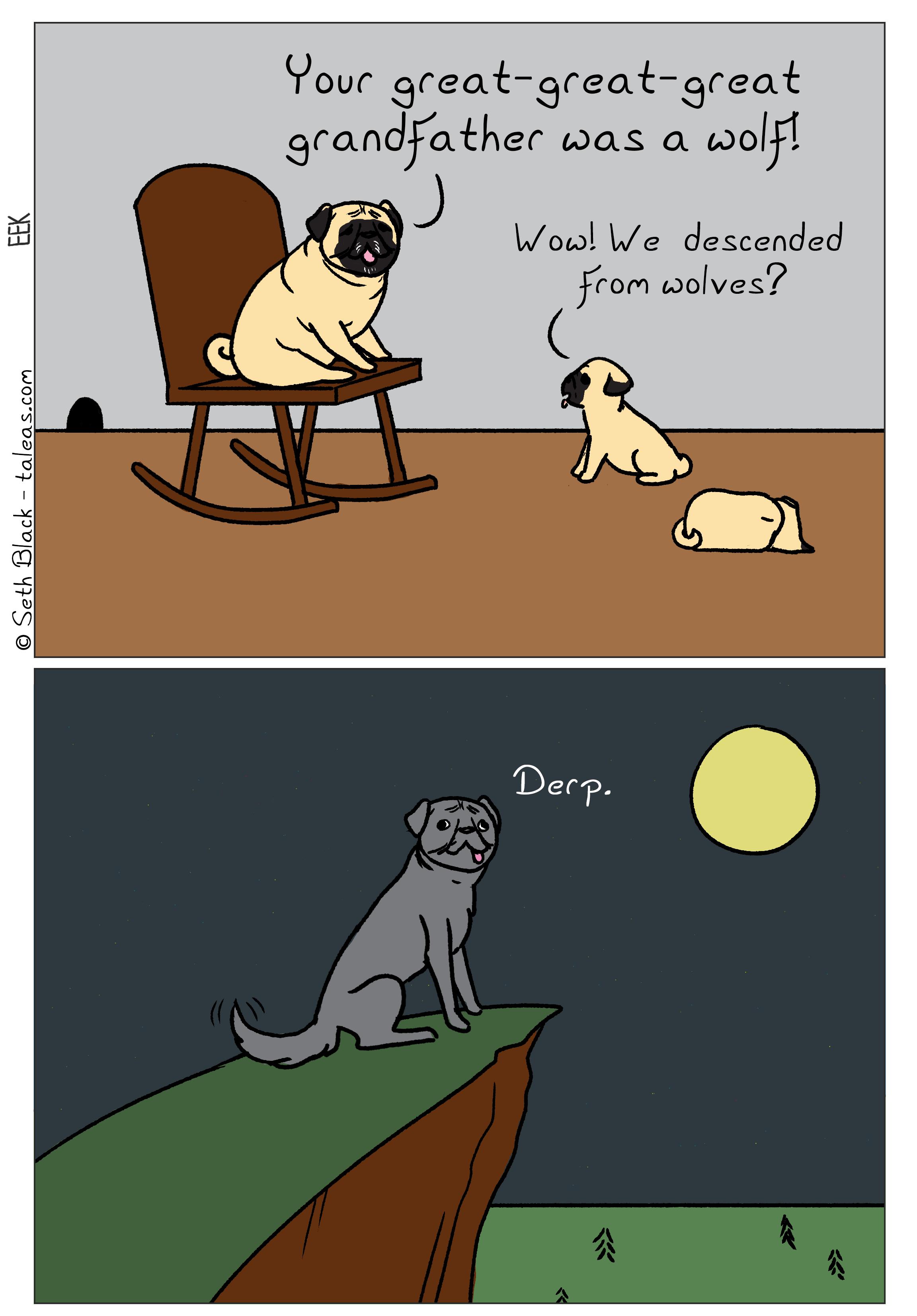An old pug sits in a rocking chair with two pups at his feet. One pup is asleep. The old pug says, "Your great-great-great grandfather was a wolf!". The other pup exclaims, "Wow! We descended from wolves?" In a second panel, a dog stands majestically on a cliff looking over his domain while the moon hangs overhead - the dog has a wolf's body, a pug's face, and wags its tail furiously. The dog is labeled, "Derp."