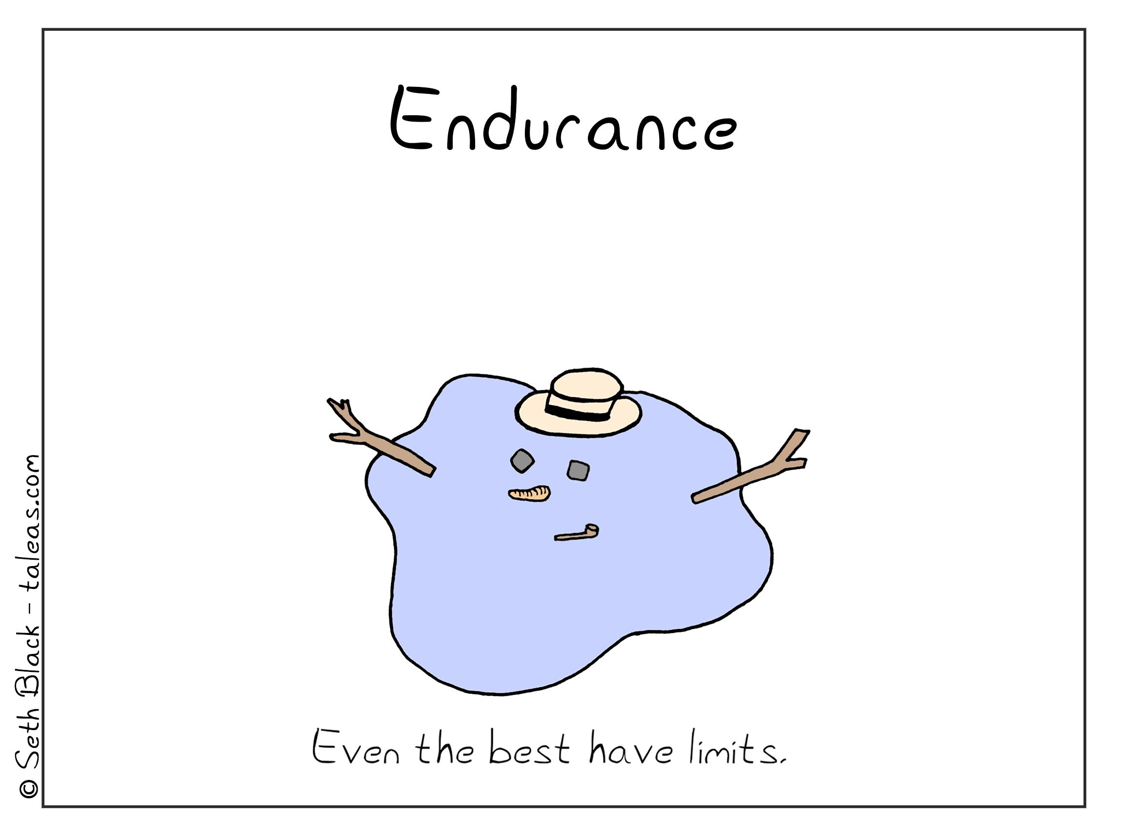 A melted snowman. "Endurance: even the best have limits."