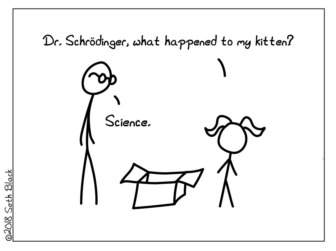 There is a scientist, a little girl and an open box between them. The little girl asks the scientist, "Dr. Schrödinger what happened to my kitten?" To which he responds, "science."