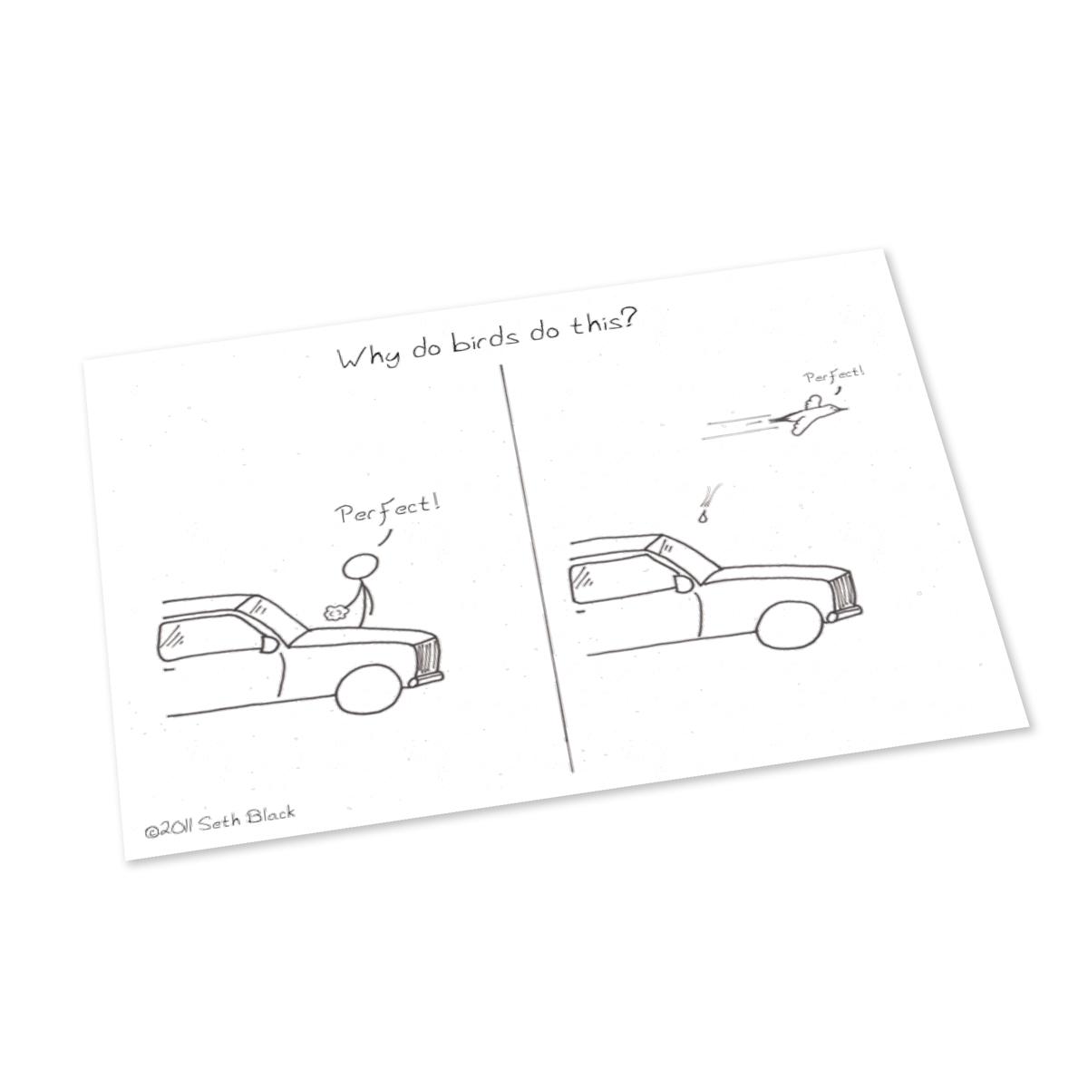 Bird and Clean Car Postcard 4X6 white