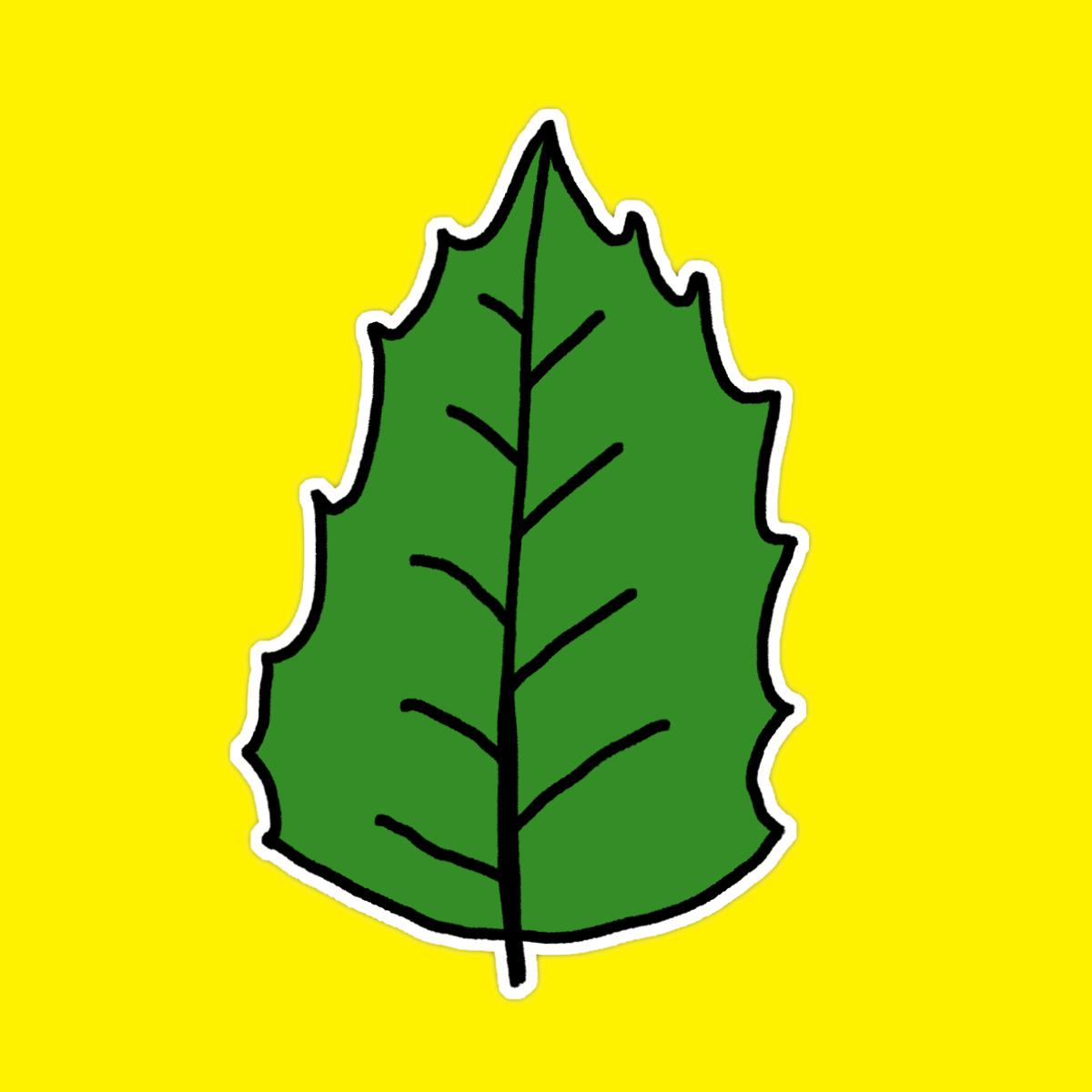 Holly Leaf Sticker