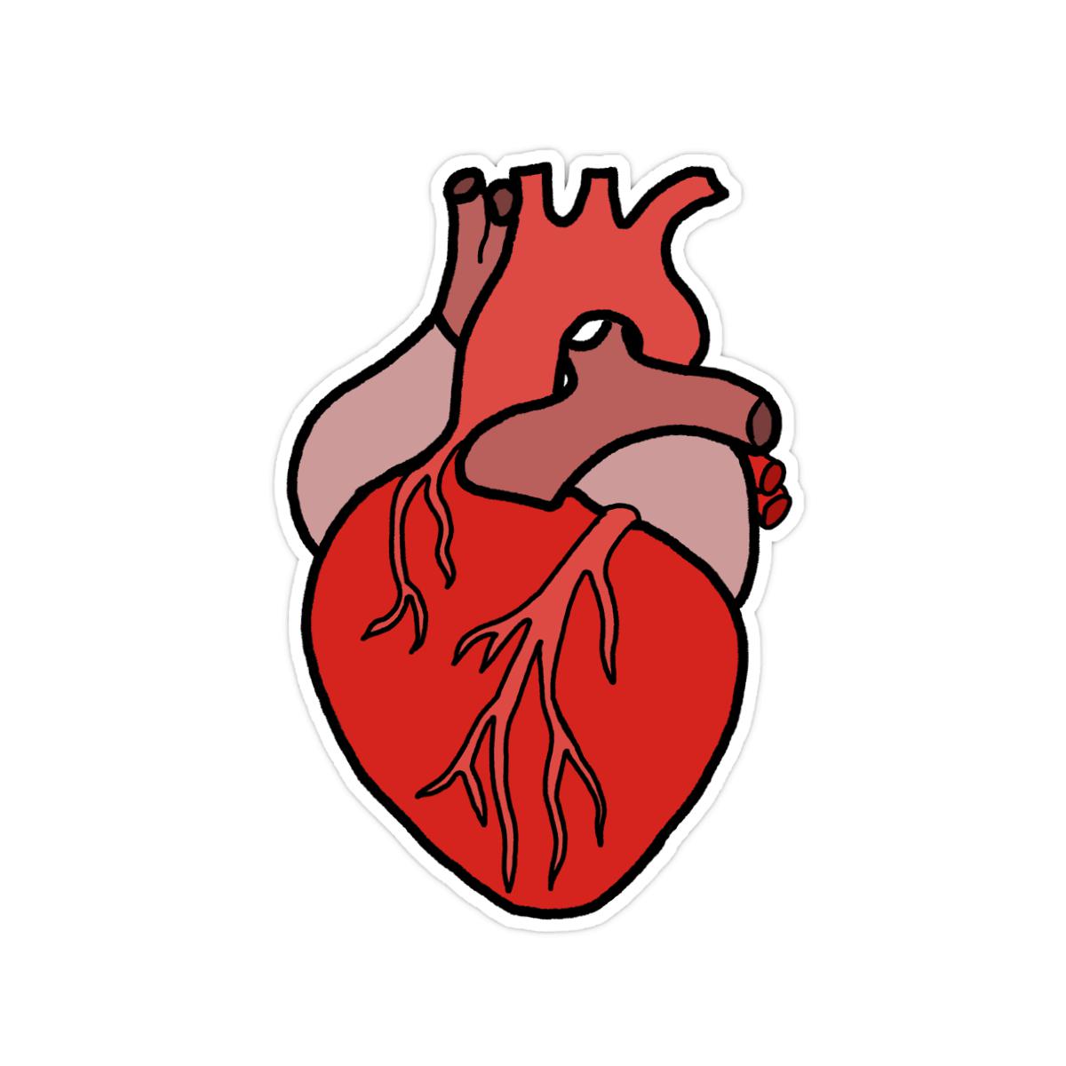 Illustrative Heart Sticker 2X2 matte